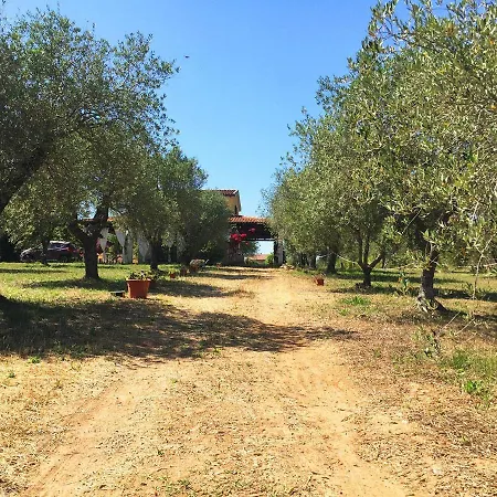 Residenza Gli Ulivi, Privata Con Ampio Giardino E Uliveto אלגהרו